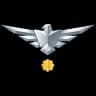 Grade colonel